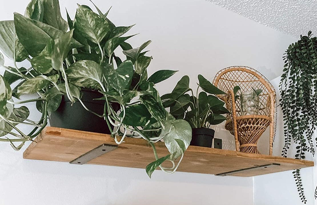 Rustic Extra Deep Shelf with Flat Brackets, W44cm x D3.4cm